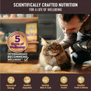 Wellness CORE Tiny Tasters Grain-Free Flaked Tuna & Shrimp Wet Food for Cats (1.75 oz x 12 pouches)