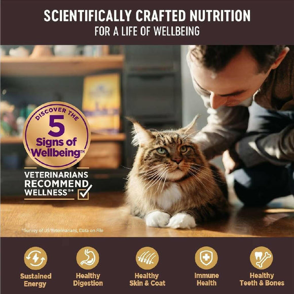 Wellness CORE Tiny Tasters Grain-Free Flaked Tuna & Shrimp Wet Food for Cats (1.75 oz x 12 pouches)