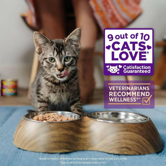 Wellness CORE Tiny Tasters Grain-Free Minced Chicken & Beef Wet Food for Cats (1.75 oz x 12 pouches)