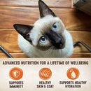 Wellness CORE Tiny Tasters Grain-Free Smooth Pate Tuna Wet Food for Cats (1.75 oz x 12 pouches)