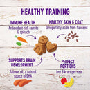 Wellness Crunchy Puppy Bites Chicken & Carrot Recipe Grain-Free Dog Treats (6 oz)