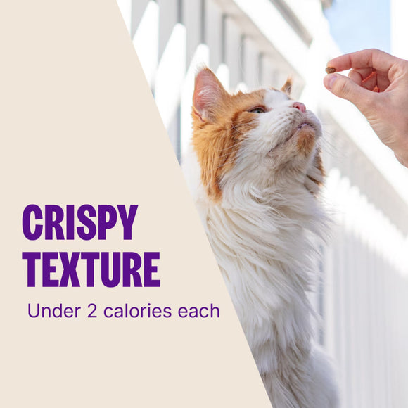 Wellness Kittles Chicken & Cranberries Recipe Crunchy Cat Treats (2 oz) - Cat Treats 6