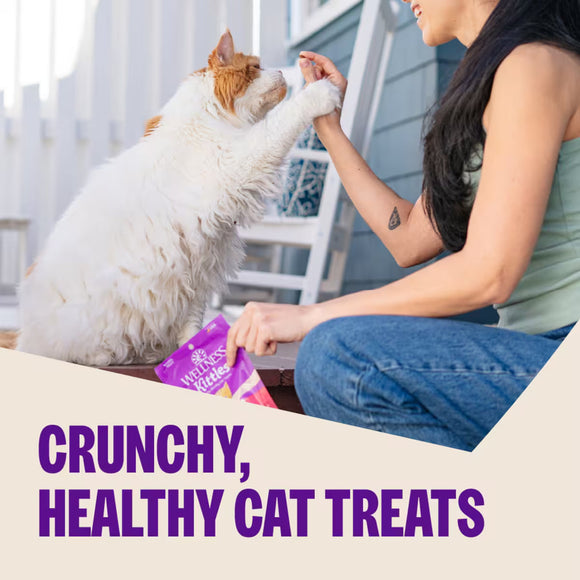 Wellness Kittles Chicken & Cranberries Recipe Crunchy Cat Treats (2 oz) - Cat Treats 2