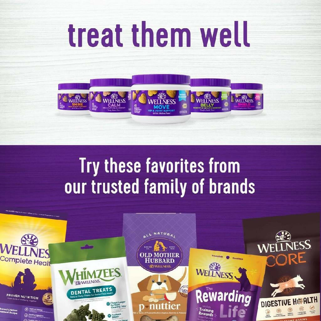 Wellness Salmon Flavored Soft Chew Immune & Allergy Supplements for Dogs 45 Count