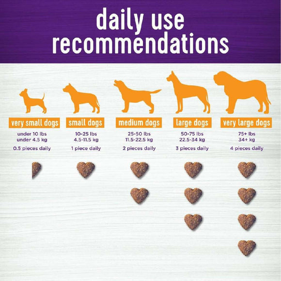 Wellness Shine Skin & Coat Supplement for Dogs (45 soft chews)