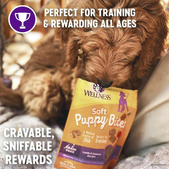 Wellness Soft Puppy Bites Lamb & Salmon Recipe Grain-Free Dog Treats (3 oz)