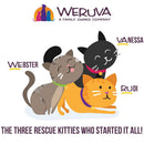 Weruva BFF Gravy Chicken & Duck Dream Team Dinner in Gravy Cat Food