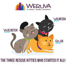 Weruva BFF Gravy Chicken & Pumpkin Love Munchkin! Dinner in Gravy Cat Food