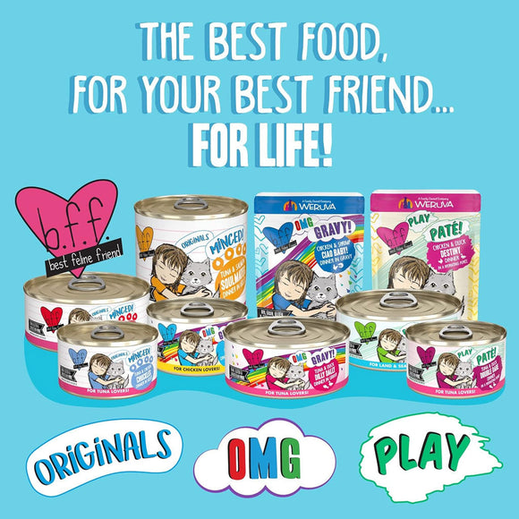 Weruva BFF Gravy Chicken & Salmon Crazy 4 U! Dinner in Gravy Cat Food
