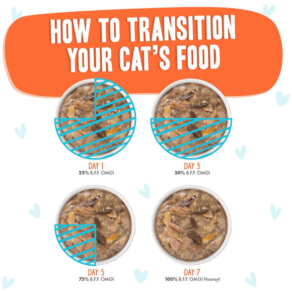 Weruva BFF Gravy Chicken & Salmon Crazy 4 U! Dinner in Gravy Cat Food