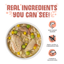 Weruva Jammin Salmon with Chicken & Salmon in Pumpkin Soup Canned Dog Food