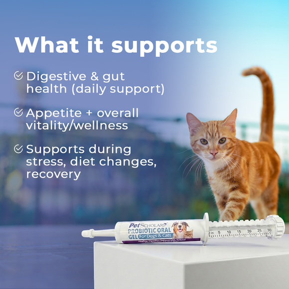Pet Scholars Probiotic Oral Gel for Dogs & Cats, 30 cc