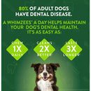 Whimzees Brushzees Medium For Dental Dog Treats Bulk (75 ct)