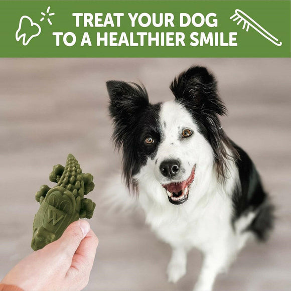 WHIMZEES by Wellness Alligator Natural Grain Free Dental Chews For Medium Dogs  (12 pc)