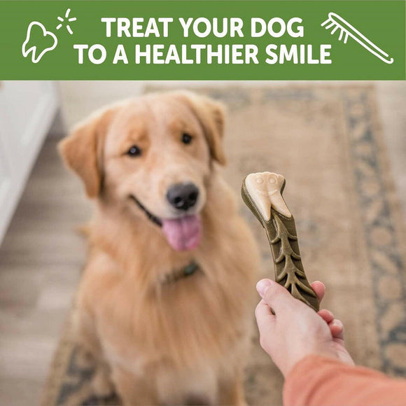 WHIMZEES by Wellness Brushzees Natural Dental Chews for Dogs, Large Breed (12.7 oz)