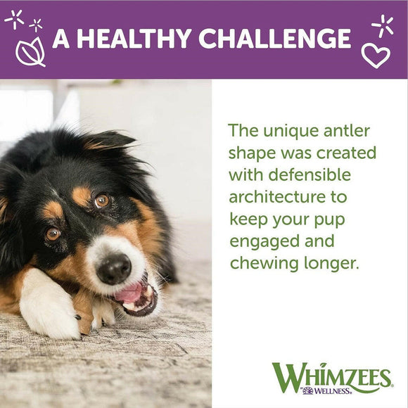 Whimzees by Wellness Occupy Antler Value Bag Treat For Large Dog (6 pc)