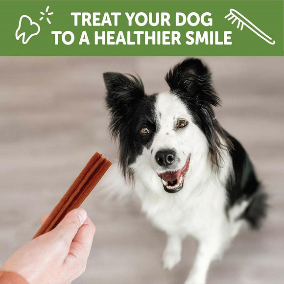 Whimzees by Wellness Stix Natural Grain Free Dental Chews For Medium Breed Dogs (14.8 oz)