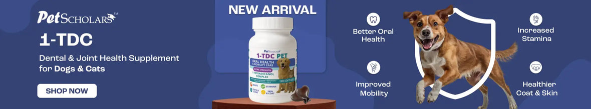 White plastic bottle of 1-tdc pet scholar dental and joint health supplement for dogs & cats.