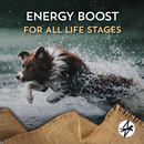 Wholesomes High Energy Dry Dog Food