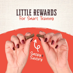Wholesomes Rewards Chewy Mini Sticks Dog Treat (7 oz) - Dog Treats 2