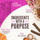 Wholesomes Rewards Chewy Mini Sticks Dog Treat (7 oz) - Dog Treats 11