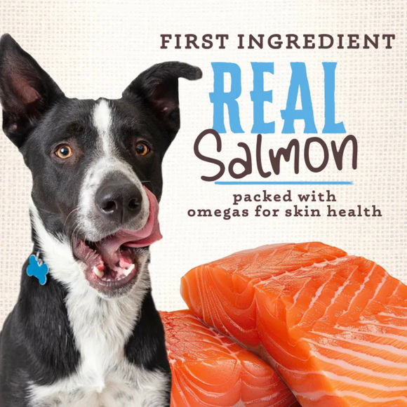 Wholesomes Rewards Sensitive Skin & Stomach Dog Biscuits (3 lbs) - Dog Treats 3