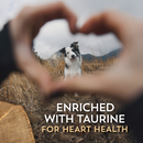 Wholesomes Sensitive Lamb Dry Dog Food