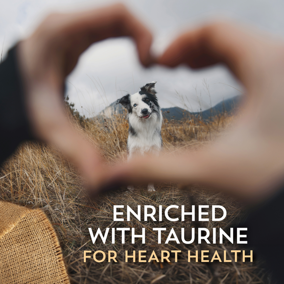 Wholesomes Sensitive Lamb Dry Dog Food
