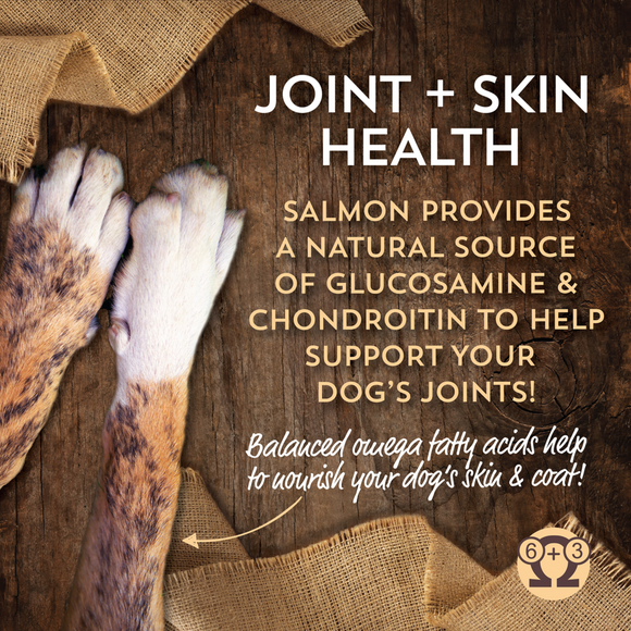 Wholesomes Sensitive Large Breed Dry Dog Food