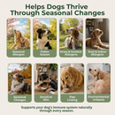 Wholistic Pet Allergy & Immune Soft Chews for Dogs (90 Chews) - Dog & Cat Immune & Allergy Supplements 3