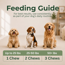 Wholistic Pet Allergy & Immune Soft Chews for Dogs (90 Chews) - Dog & Cat Immune & Allergy Supplements 7
