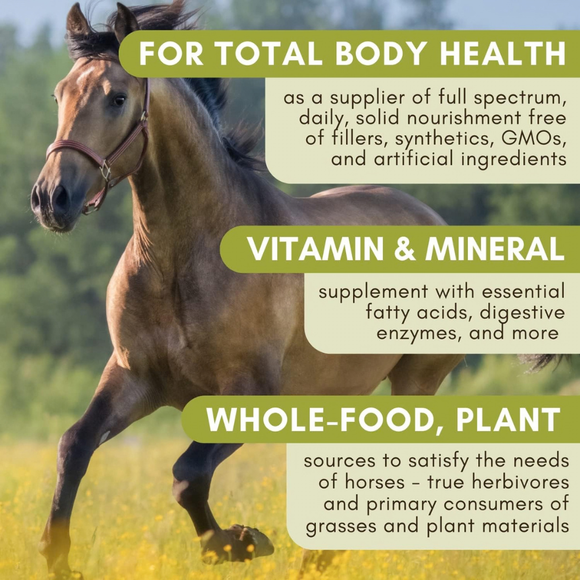 Wholistic Pet Equine Complete Original Whitefish Flavor Multivitamin for Horse 4 lbs - Horse Supplements & Vitamins 2