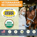 Wholistic Pet Organic Equine Complete Multivitamin for Horse 4 lbs (Pumpkin Flavor) - Horse Supplements & Vitamins 8