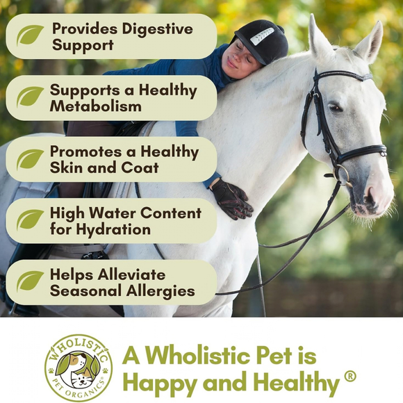 Wholistic Pet Organic Equine Complete Multivitamin for Horse 4 lbs (Pumpkin Flavor) - Horse Supplements & Vitamins 3
