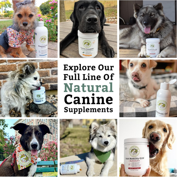 Wholistic Pet Organics Canine Complete Organic Multivitamin Powder for Dog - Dog Multi-Vitamins 10