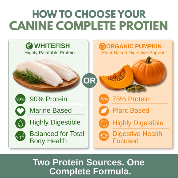 Wholistic Pet Organics Canine Complete Organic Multivitamin Powder for Dog - Dog Multi-Vitamins 9