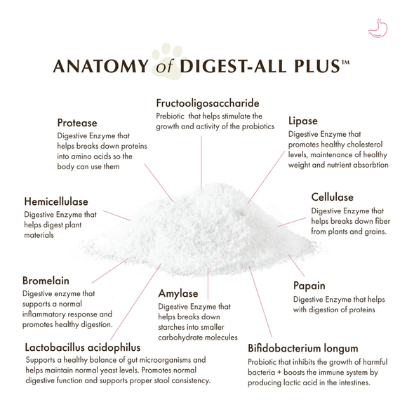 Wholistic Pet Organics Digest-All Plus for Dogs and Cats - Dog & Cat Digestive & Probiotics Supplements 3