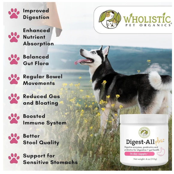 Wholistic Pet Organics Digest-All Plus for Dogs and Cats - Dog & Cat Digestive & Probiotics Supplements 2