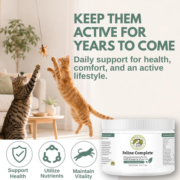 Wholistic Pet Organics Pet Feline Complete for Cat Pumpkin - Multi-Vitamins 12