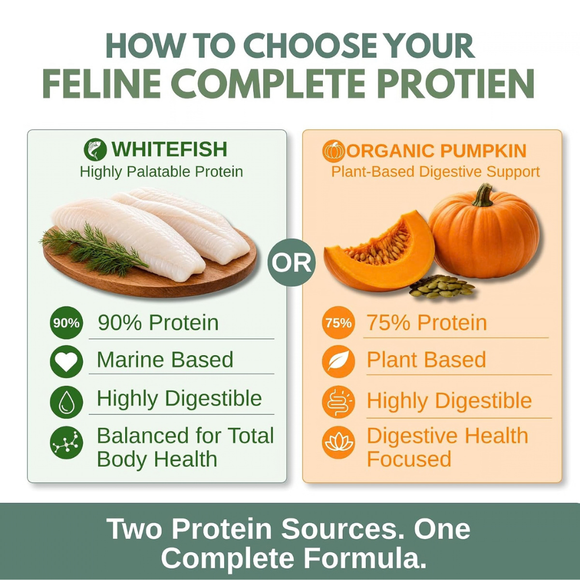 Wholistic Pet Organics Pet Feline Complete for Cat Pumpkin - Multi-Vitamins 9