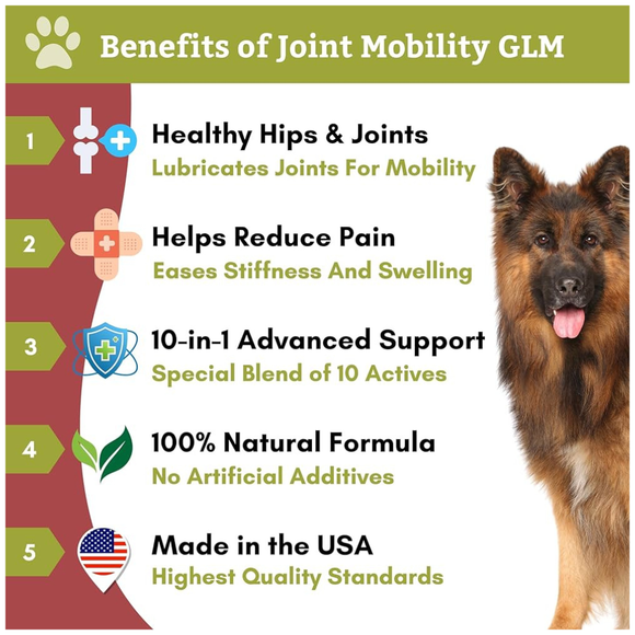 Wholistic Pet Organics Joint Mobility GLM - Dog & Cat Joint Supplement 5