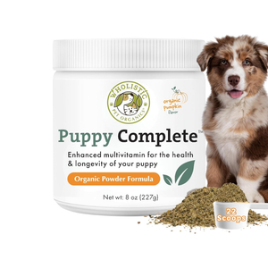 Wholistic Pet Organics Puppy Complete Organic Pumpkin Flavor Multivitamin for Puppies - 8 oz - Dog Vitamins &