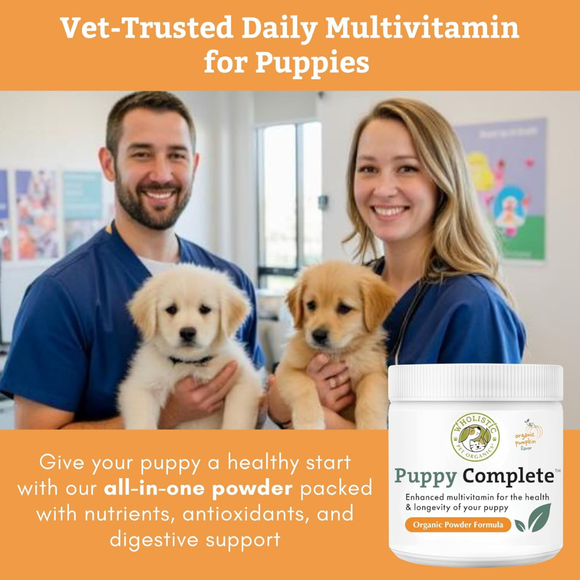 Wholistic Pet Organics Puppy Complete Organic Pumpkin Flavor Multivitamin for Puppies - Dog Vitamins & Supplements 2