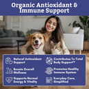 Wholistic Pet Organics Pure Spirulina for Cats & Dogs 3 oz - Dog & Cat Supplements & Vitamins 2