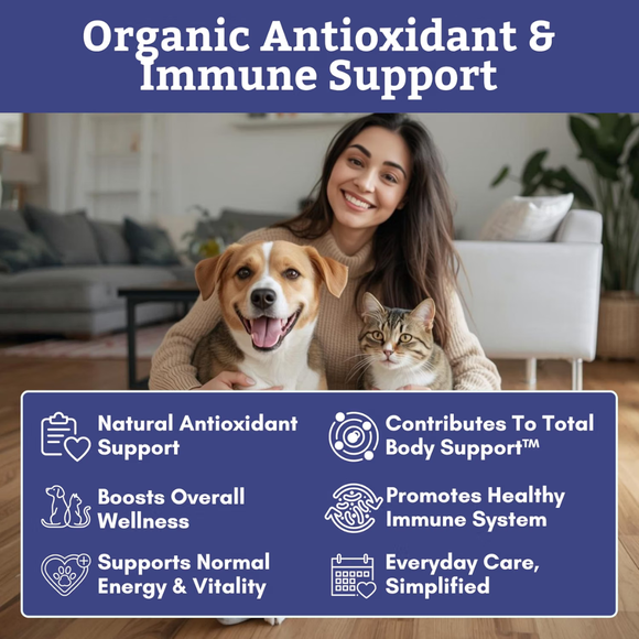 Wholistic Pet Organics Pure Spirulina for Cats & Dogs 3 oz - Dog & Cat Supplements & Vitamins 2