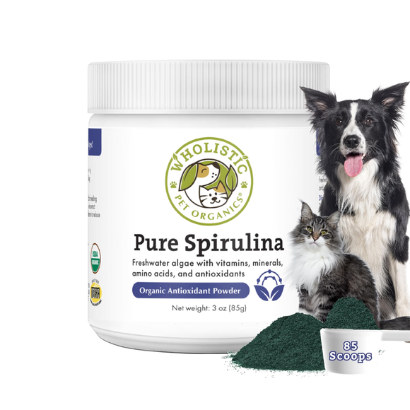 Wholistic Pet Organics Pure Spirulina for Cats & Dogs 3 oz - Dog & Cat Supplements & Vitamins 1