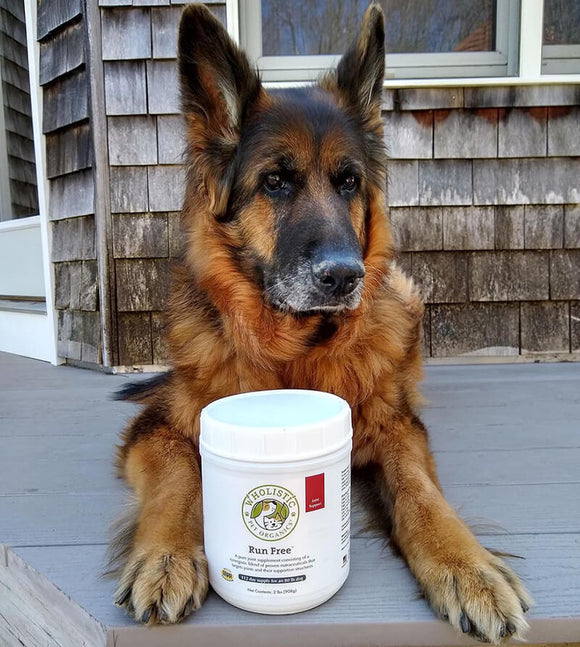Wholistic Pet Organics Run Free - Dog & Cat Joint Supplement 8