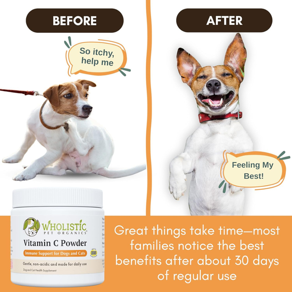 Wholistic Pet Organics Vitamin C Powder for Dogs & Cats - Dog & Cat Supplements & Vitamins 4