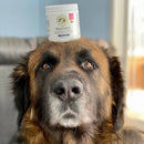 Wholistic Pet Organics WholeBiotics - Cat and Dog & Probiotics Supplements 7