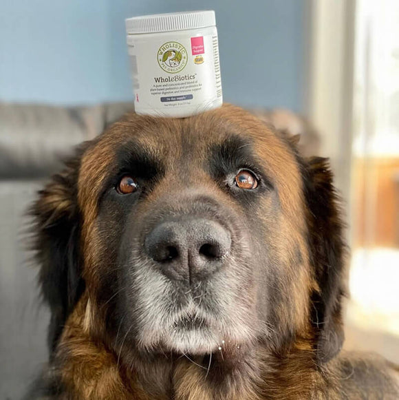Wholistic Pet Organics WholeBiotics - Cat and Dog & Probiotics Supplements 7